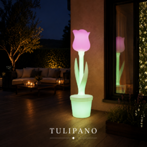 Tulipano