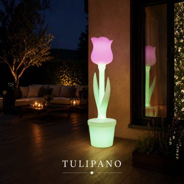 5d82a7ea-5ed6-4bbf-9176-8869c0fa710d Tulipano